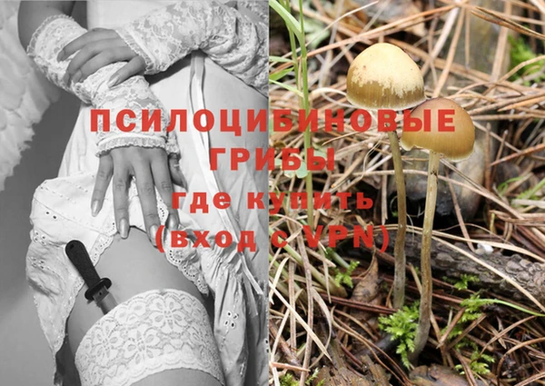 мет Нефтегорск