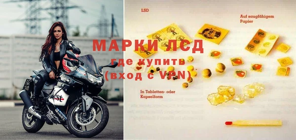 трава Новозыбков