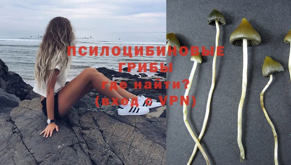 spice Нефтекумск